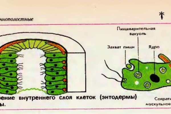 Как зайти в кракен через айфон