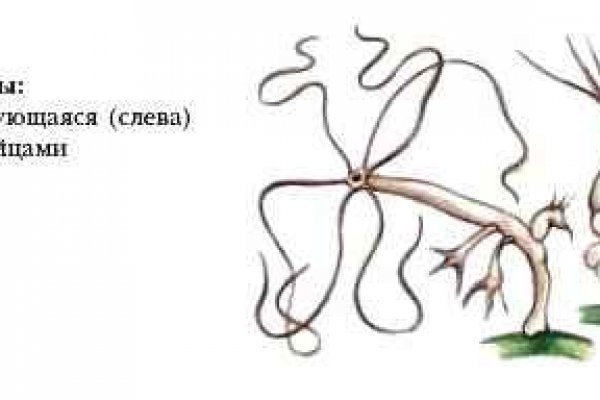 Kraken darknet onion 3dark link com