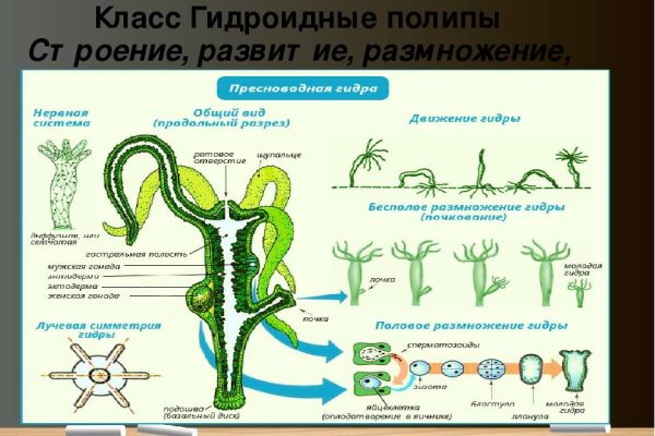 Кракен маркетплейс официальный сайт сайт ссылка