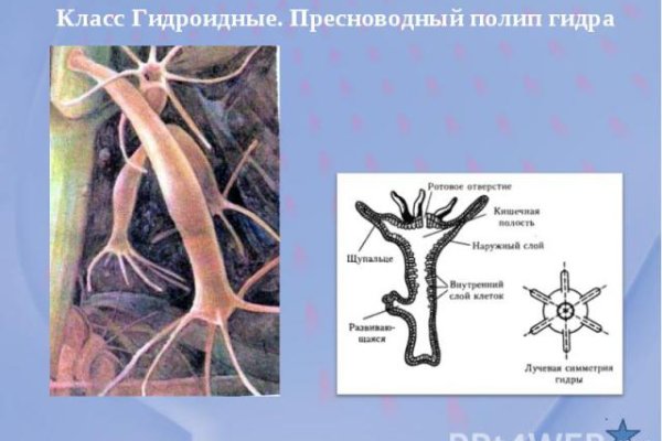 Где найти рабочую ссылку на кракен