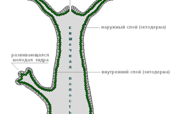 Кракен сайт что будет если зайти