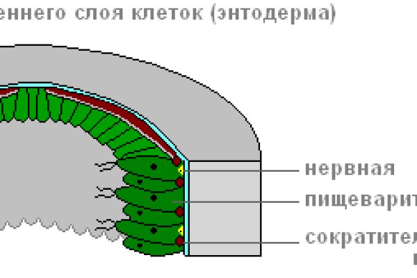 Kraken адрес onion