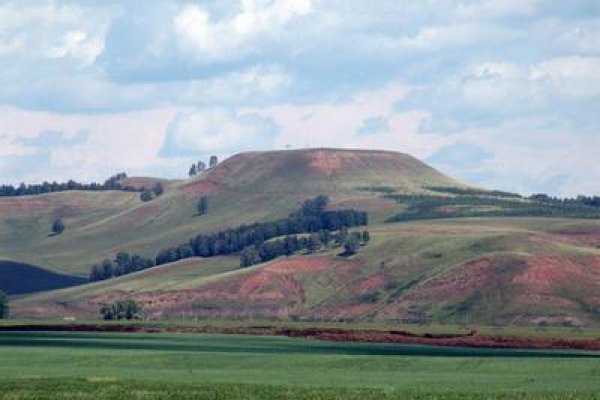 Кракен зеркало ссылка онлайн