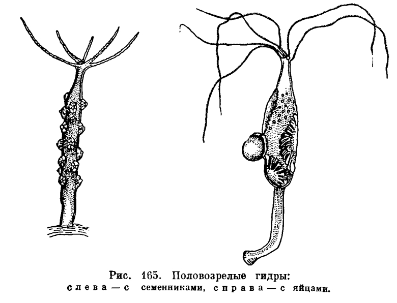 Кракен вход krakens13 at